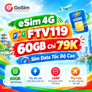 eSIM FPT FTV119-goism
